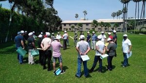 Somos líderes en Talleres de desarrollo de habilidades blandas y construcción de equipos