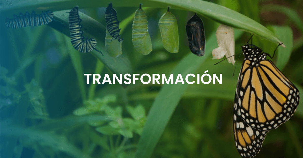 Liderazgo Transformacional